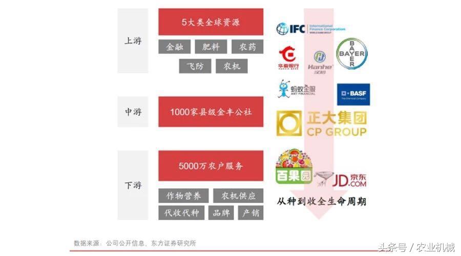 龙商公社资讯速递：最新动态全解析