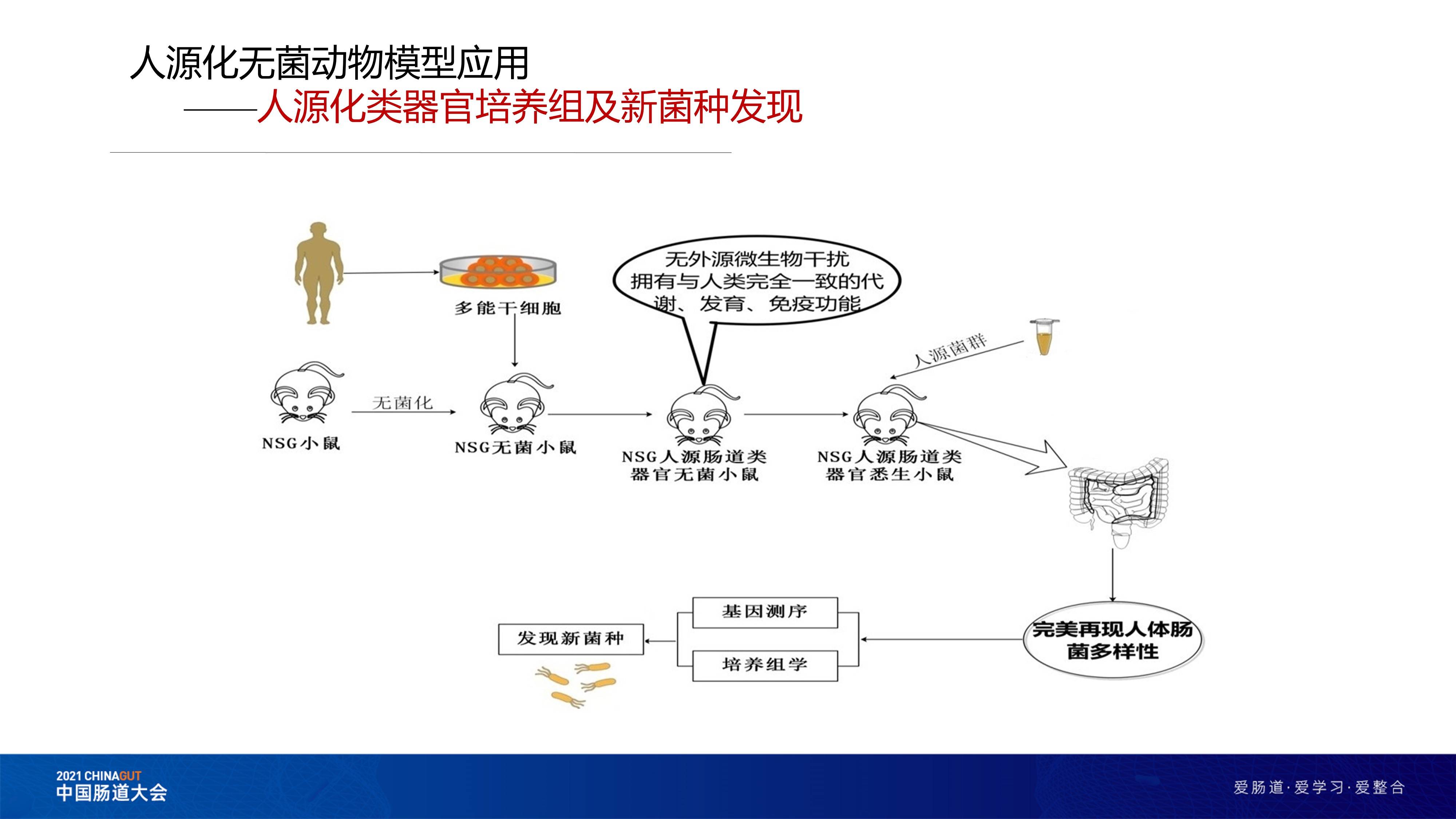 休克症候群全新分类体系解析